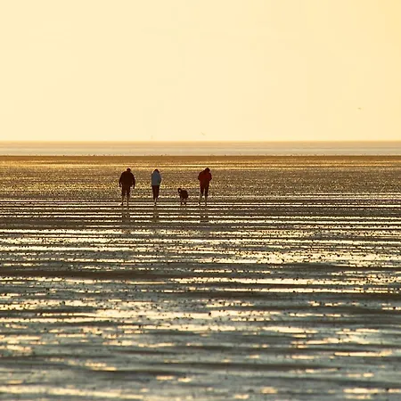 De Lark 아파트 Neufeld (Schleswig-Holstein)