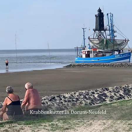 De Lark * Neufeld (Schleswig-Holstein)