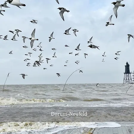 De Lark דירה Neufeld (Schleswig-Holstein)