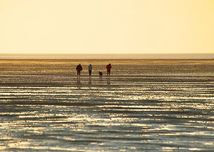 De Lark Appartamento Neufeld (Schleswig-Holstein)