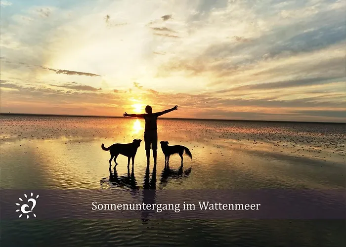 De Lark Appartamento Neufeld (Schleswig-Holstein)