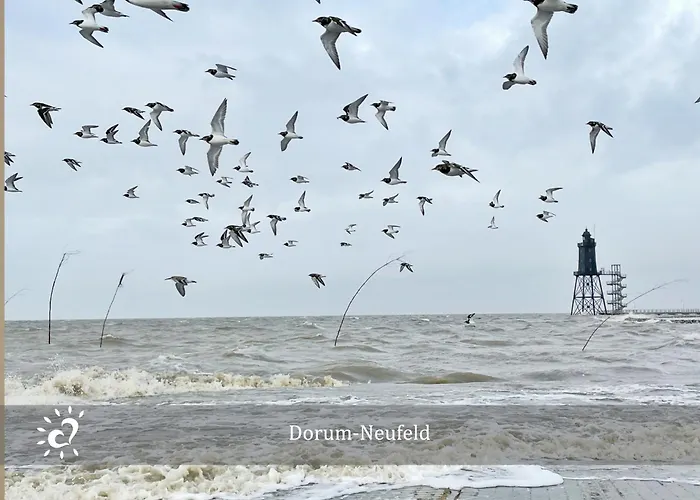 De Lark Appartamento Neufeld (Schleswig-Holstein)